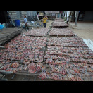 Fisch wird getrocknet